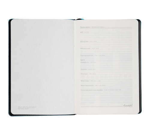Ежедневник Alanis, недатированный, черный с голубым