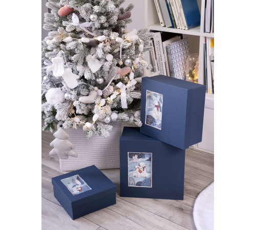 Коробка The Blue Bear, S
