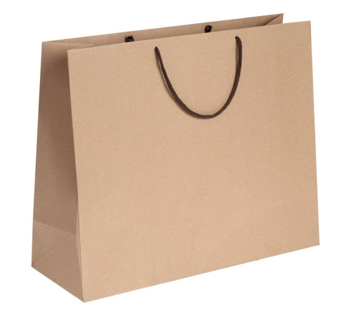 Пакет бумажный «Крафт», L, неокрашенный