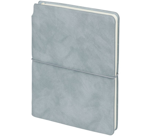 Набор Business Diary Mini, серый