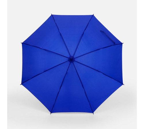 Зонт-трость Promo, синий