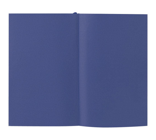 Ежедневник Flat Mini, недатированный, синий