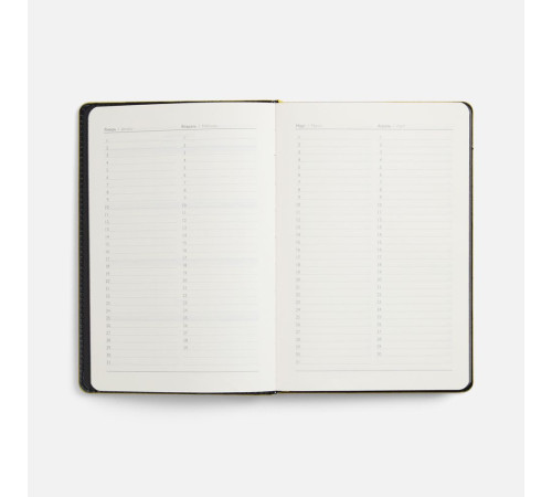 Ежедневник Alanis, недатированный, черный с желтым