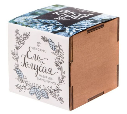 Набор для выращивания «Экокуб Lite», ель голубая