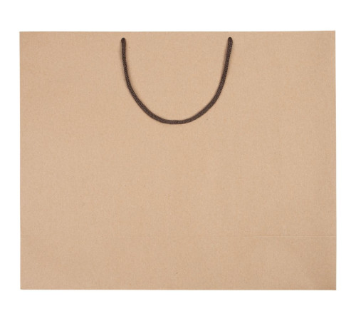 Пакет бумажный «Крафт», L, неокрашенный