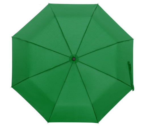 Зонт складной Monsoon, зеленый