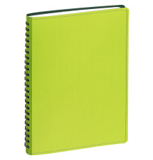 Ежедневник Spring Shall, недатированный, зеленый