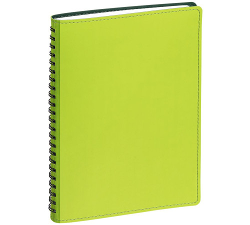 Ежедневник Spring Shall, недатированный, зеленый