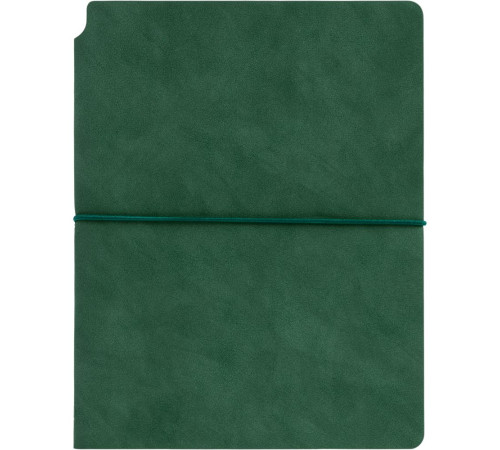 Ежедневник Kuka, недатированный, зеленый