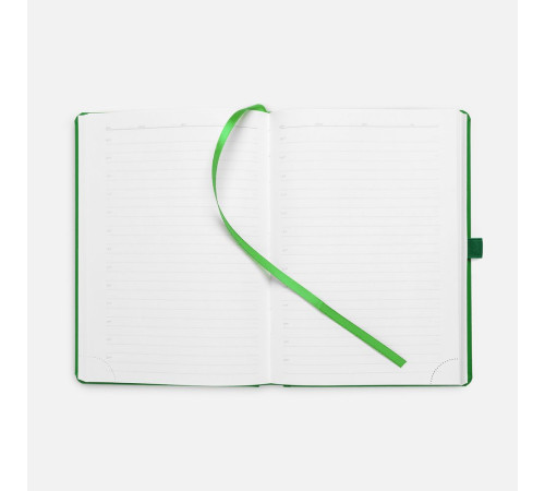 Ежедневник Favor Metal, недатированный, ярко-зеленый