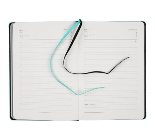 Ежедневник Alanis, недатированный, черный с голубым