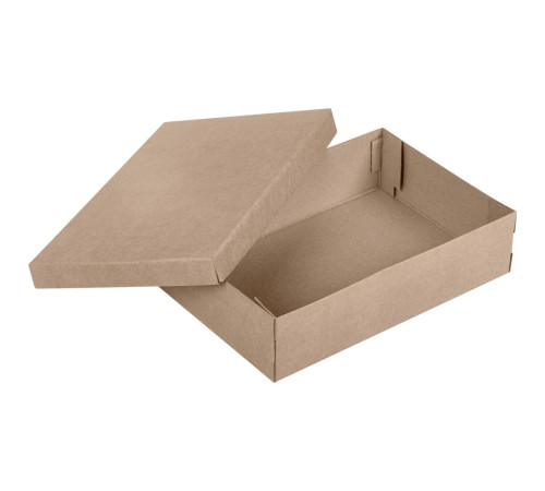 Коробка Common, L