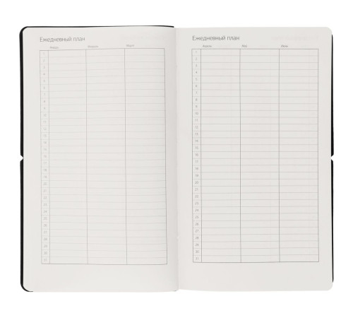 Ежедневник Nubuk, недатированный, светло-серый