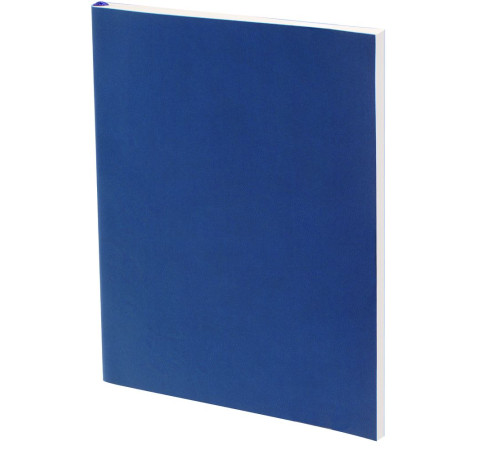 Ежедневник Flat Light ver.2, недатированный, синий