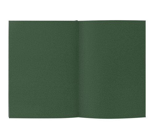 Ежедневник Flat, недатированный, зеленый