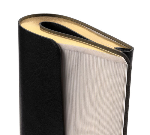 Ежедневник Nebraska Flex, недатированный, черный с золотистым