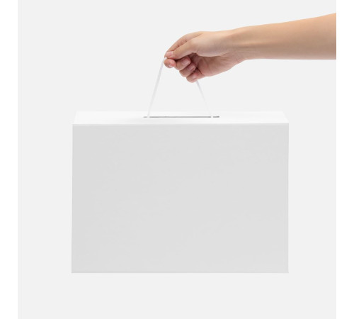 Коробка складная New Case Fold, белая