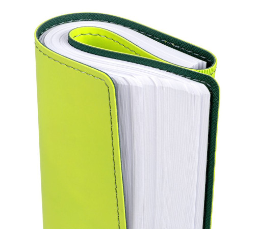 Ежедневник Spring Shall, недатированный, зеленый