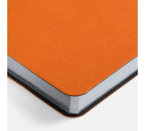 Ежедневник Petrus, недатированный, оранжевый