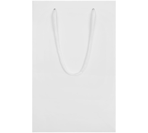 Пакет бумажный Waski S, белый