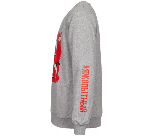 Толстовка «Яжопытный», серый меланж