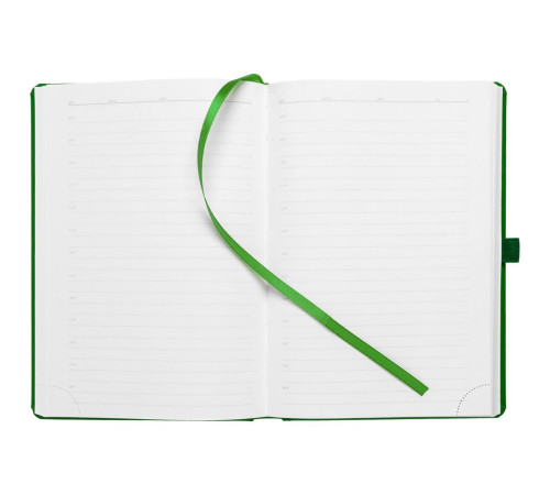 Ежедневник Favor, недатированный, ярко-зеленый