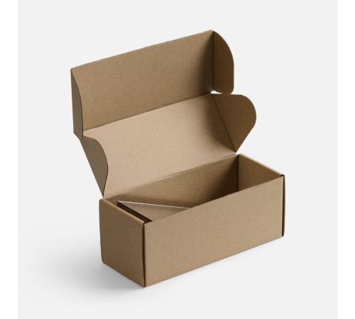 Стела Challenger