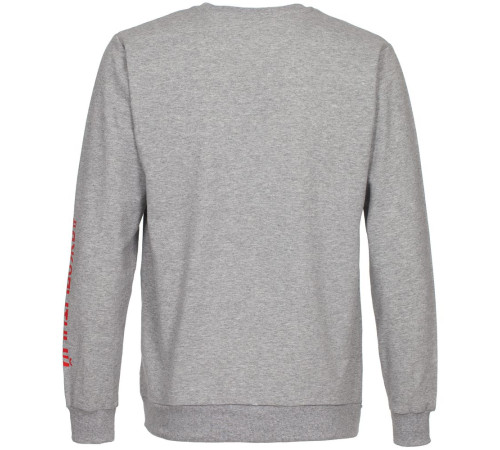 Толстовка «Яжопытный», серый меланж