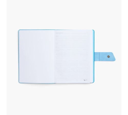 Ежедневник Boom, недатированный, черный с голубым