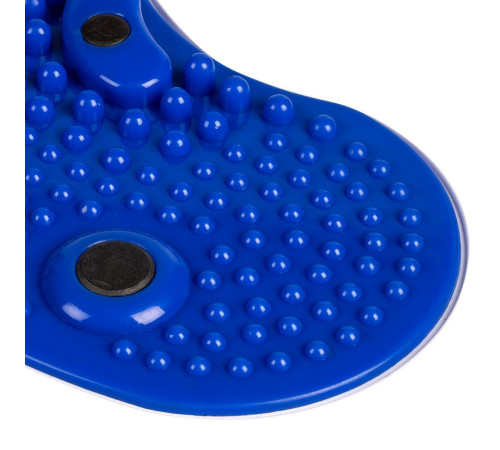 Диск здоровья вращающийся SpinTeam, белый с синим