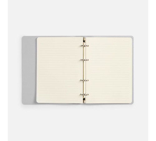 Ежедневник Ringo, недатированный, серебристый