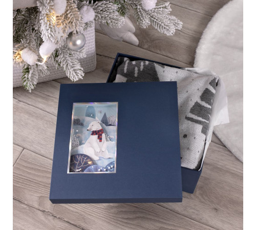 Коробка The Blue Bear, M