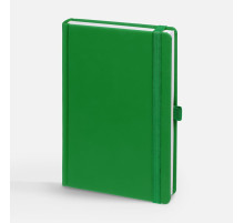 Ежедневник Favor, недатированный, ярко-зеленый
