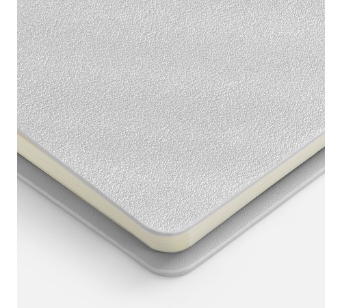 Ежедневник Ringo, недатированный, серебристый