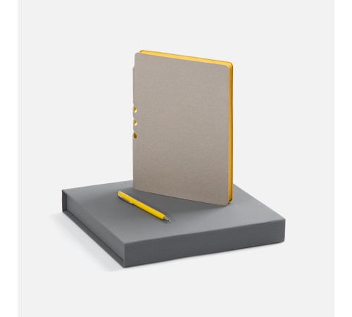 Набор Flexpen Grey, желтый