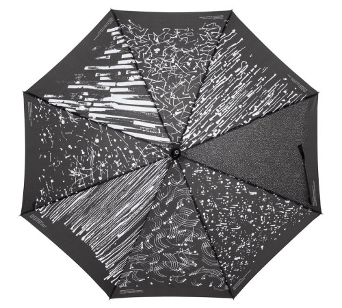 Зонт-трость Types Of Rain