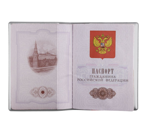 Обложка для паспорта Dorset, серая