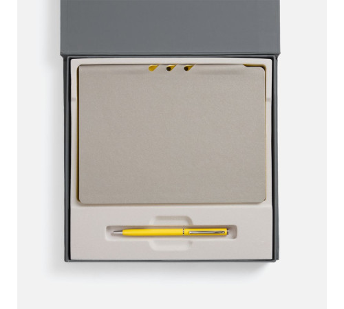 Набор Flexpen Grey, желтый