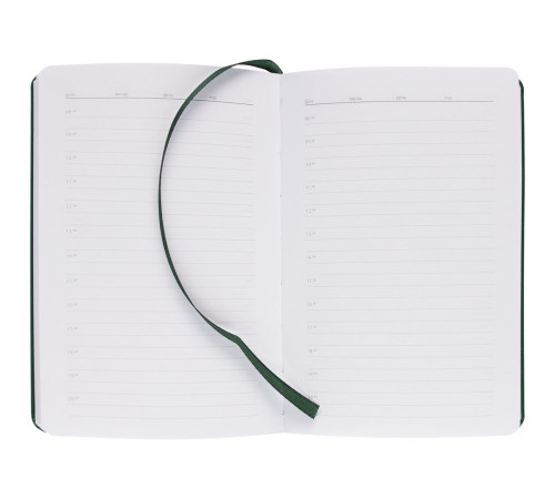 Ежедневник Base Mini, недатированный, зеленый