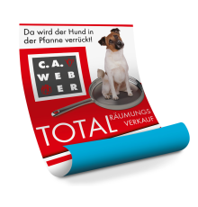 Афиши на бумаге блюбек