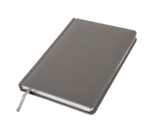 Ежедневник датированный Joy, А5, с серебрянным срезом