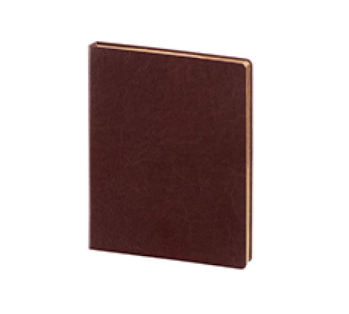 Бизнес-блокнот с золотым срезом формат А4